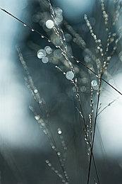 肉鸽《CORING 镜地猎杀》Steam页面上线 支持中文